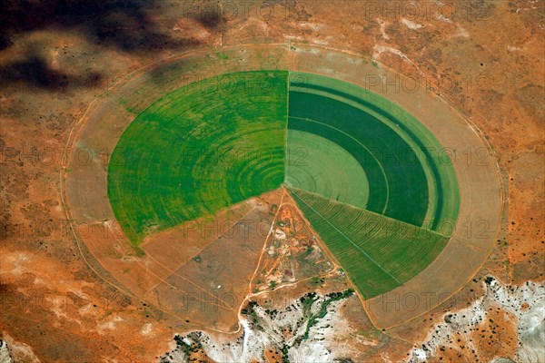 Circular fields on the Orange River