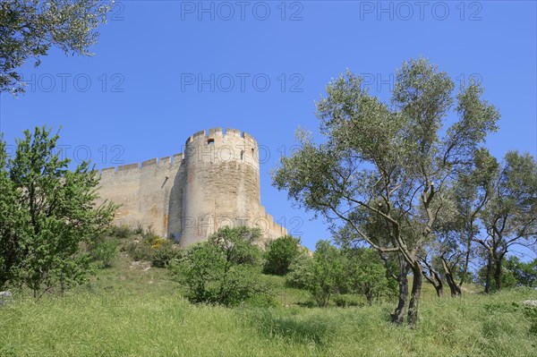 Fort Saint-Andre