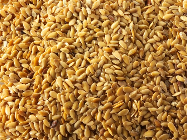 Organic golden linseed