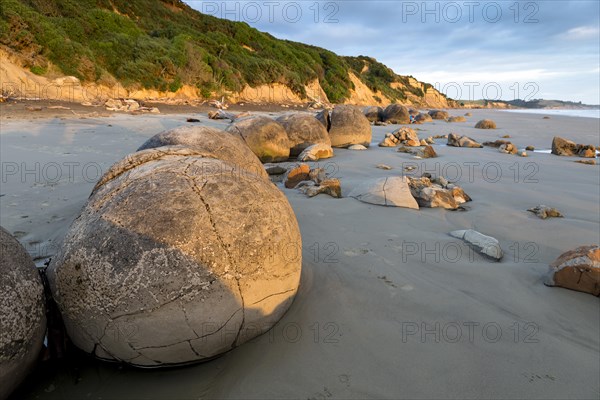 Moeraki Boulders in the morning light