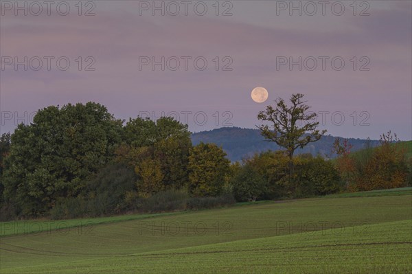 Landscape with setting moon