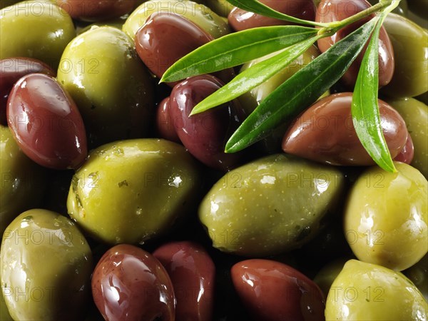 Mixed green & kalamata olives