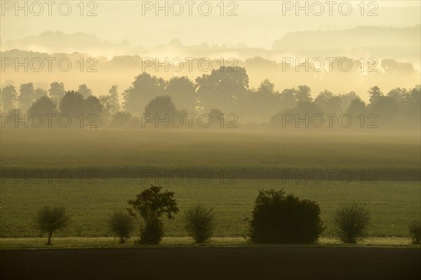 Morning fog atmosphere in Reuss Valley