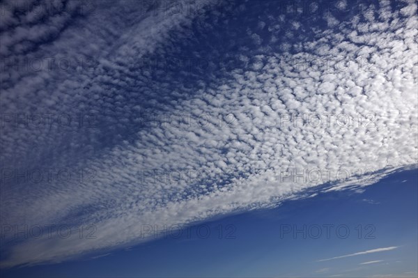 Fluffy clouds or cirrocumulus clouds