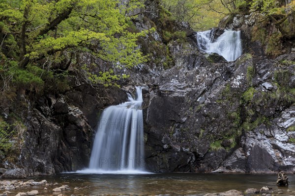 Waterfall in a forest