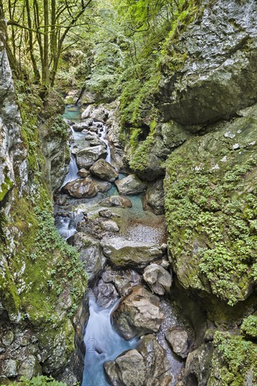 Tolmin Gorge