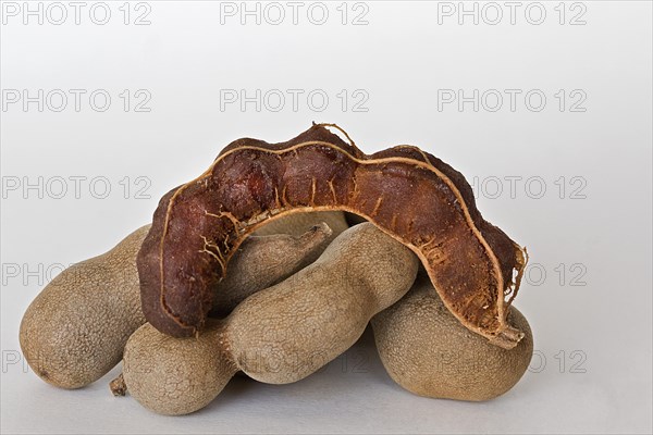 Tamarind fruits (Tamarindus indica)