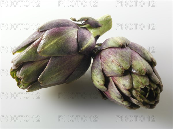 Globe Artichokes (Cynara cardunculus)