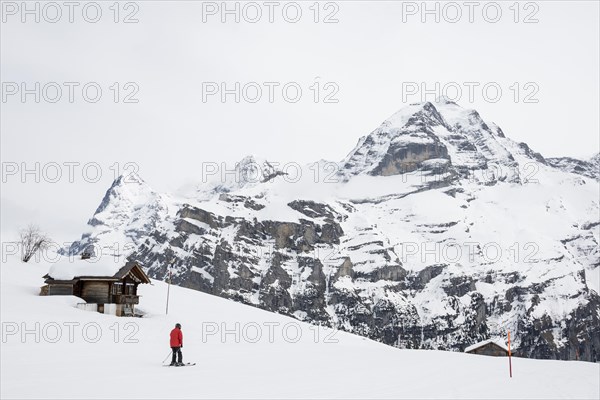 Old log cabin and skier