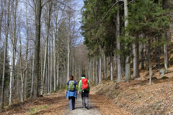 Hikers on the way to the Hennenkobel