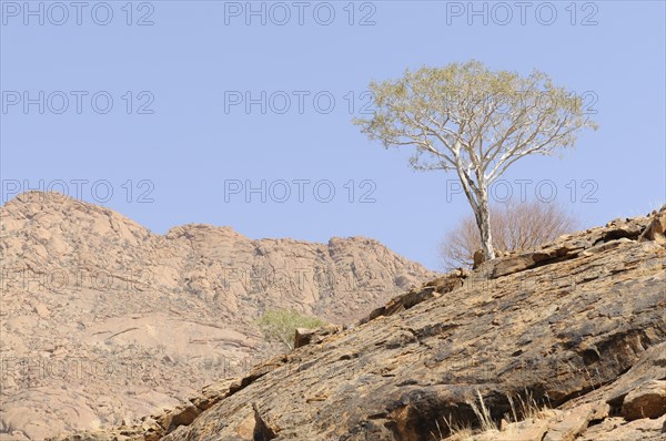 Mountain landscape along a trail to the White Lady rock painting in the Tsisab Gorge