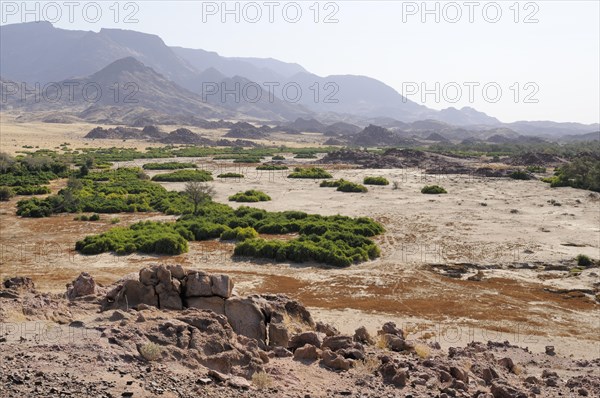 The dry river bed of the Ugab river