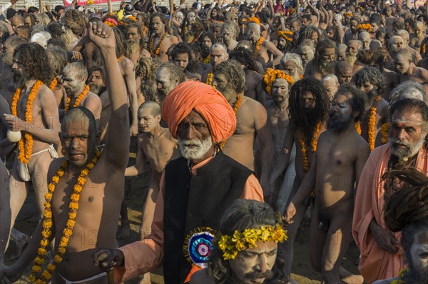 Crowds of naked Naga sadhus