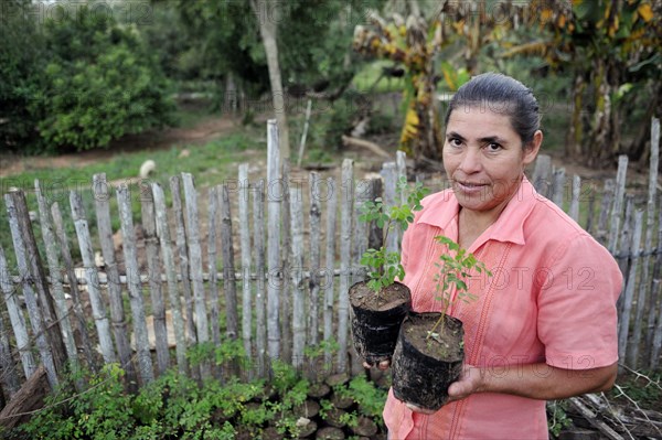 Peasant farmer with seedlings