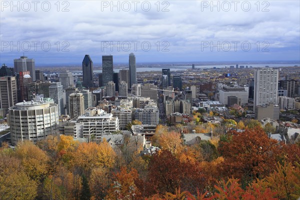 View of the city