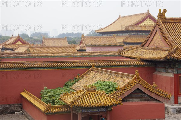 Roofs of the Forbidden City