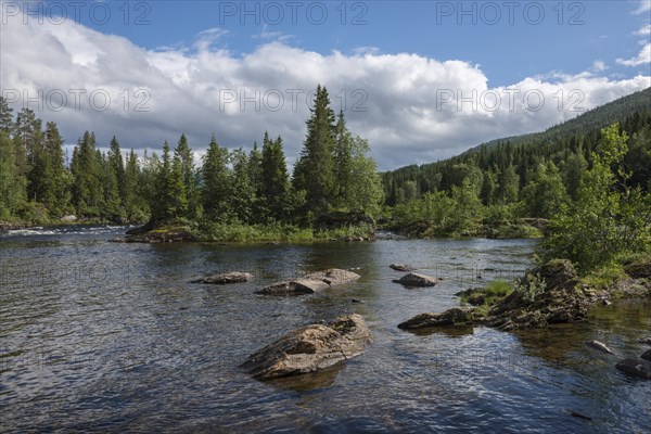 Landscape with the salmon river of Namsen