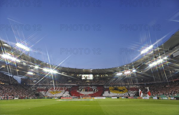 Fan action during the DFB semi-final