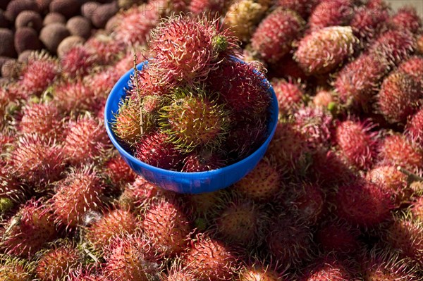 Rambutan fruits at a market