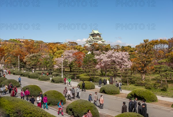 Osaka Castle with flowering cherry trees in the park