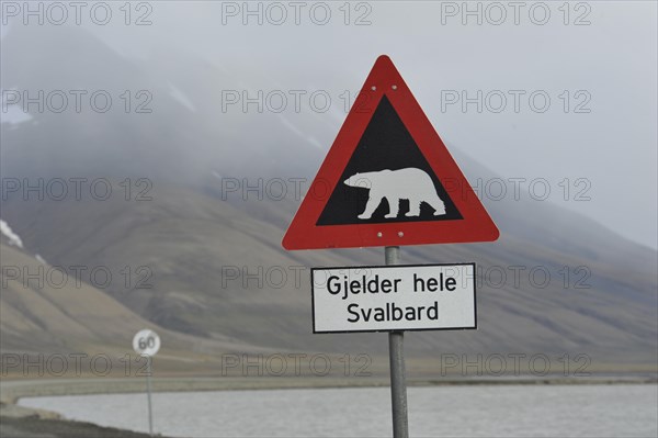 Polar bear warning sign