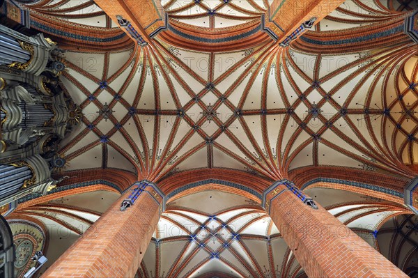 Vaulted ceiling with columns