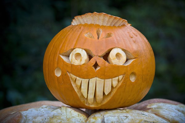 Carved pumpkin for Halloween