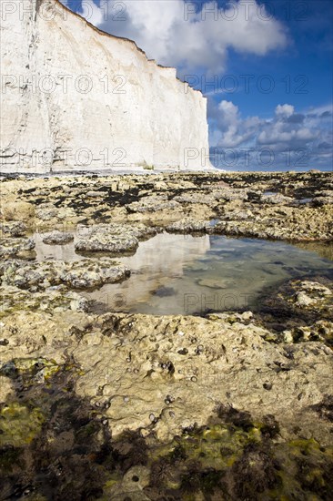 White chalk cliffs with reflections in the water