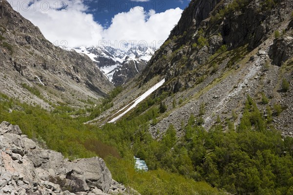 Valley of Veneon