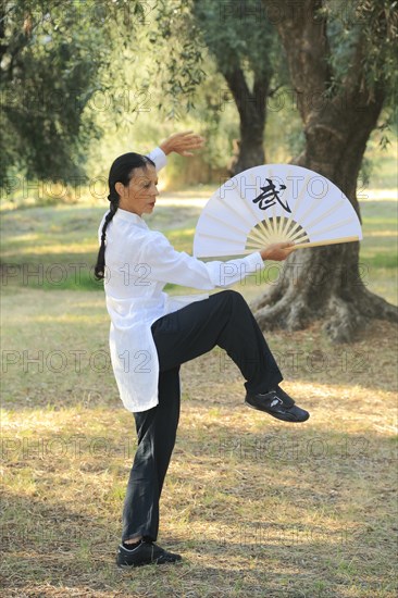 Tai Chi performed with a fan