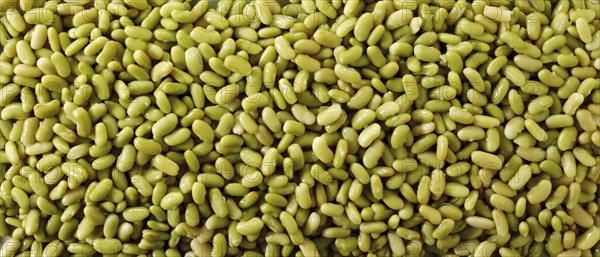 Flageolet beans