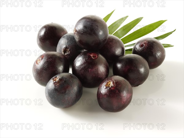 Fresh whole Acai berries (Euterpe oleracea)