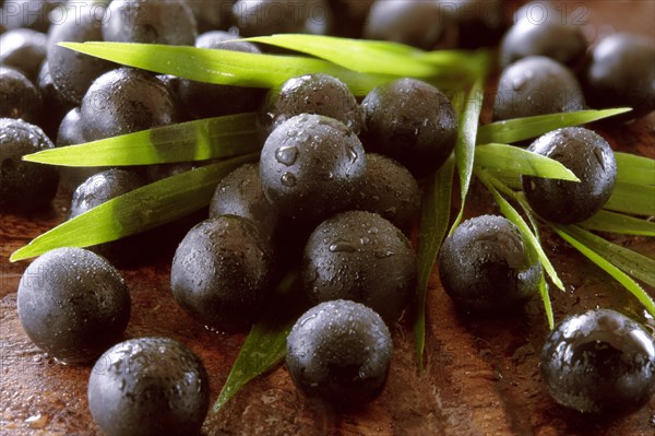 Fresh whole Acai berries (Euterpe oleracea)