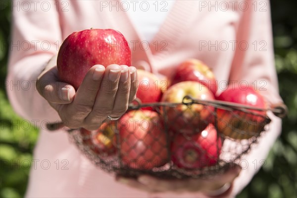 Woman holding an apple and a bowl of apples