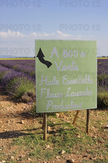 Lavender for sale sign near Puimoisson