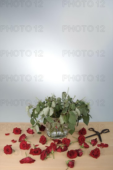 Bouquet of red roses in a vase with severed flower heads