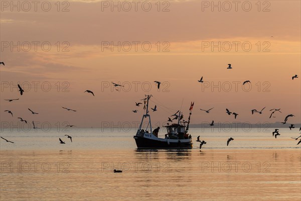 Fishing boat on the Baltic coast