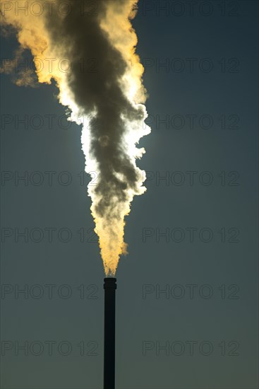 Smoking chimney of a modern biomass-fired power station