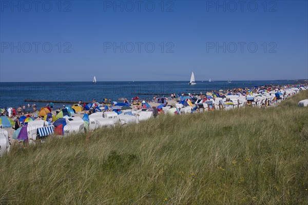 Coast with roofed wicker beach chairs on a beach