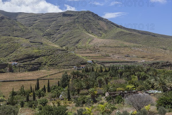 Valle de Agaete valley