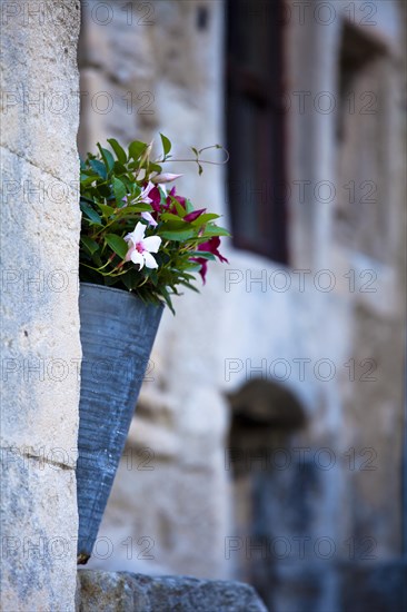 Pot flowers outside a house