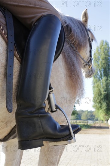 Female rider on a horse