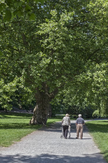 Elderly couple strolling in the park