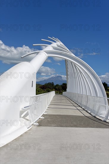 Te Rewa Rewa Bridge