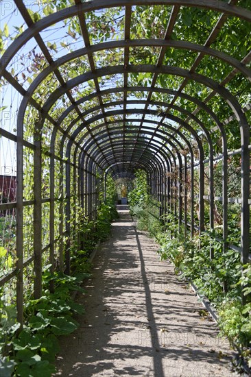 Portico in the herb garden