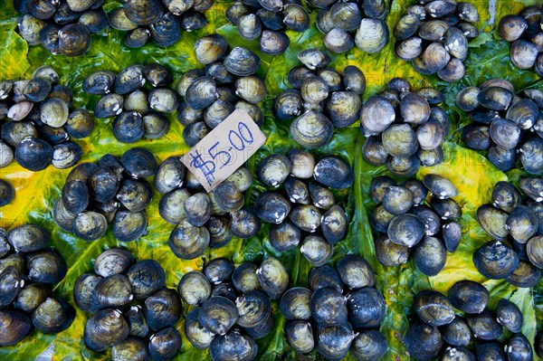 Mussels for sale at the market hall