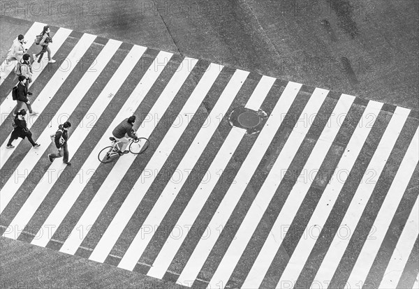 Shibuya Crossing