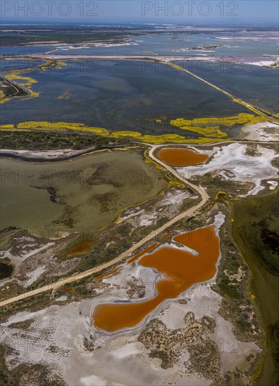 Salt patterns on the surface of salt marshes