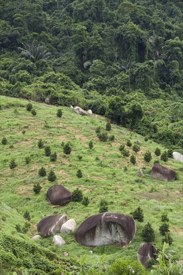 Fertile countryside with rock formations