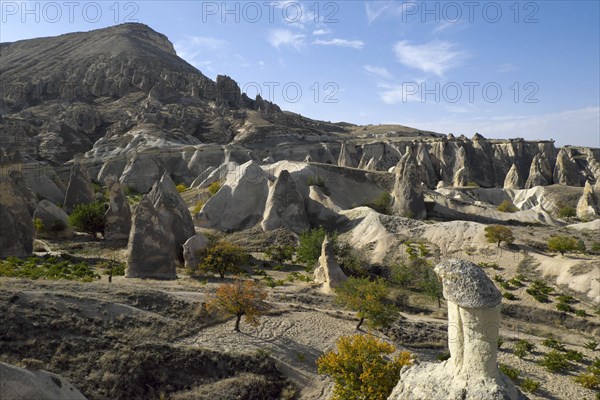 Tufa formations